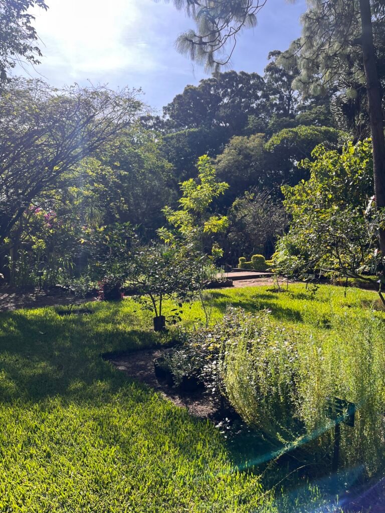 Ciudad de Guatemala