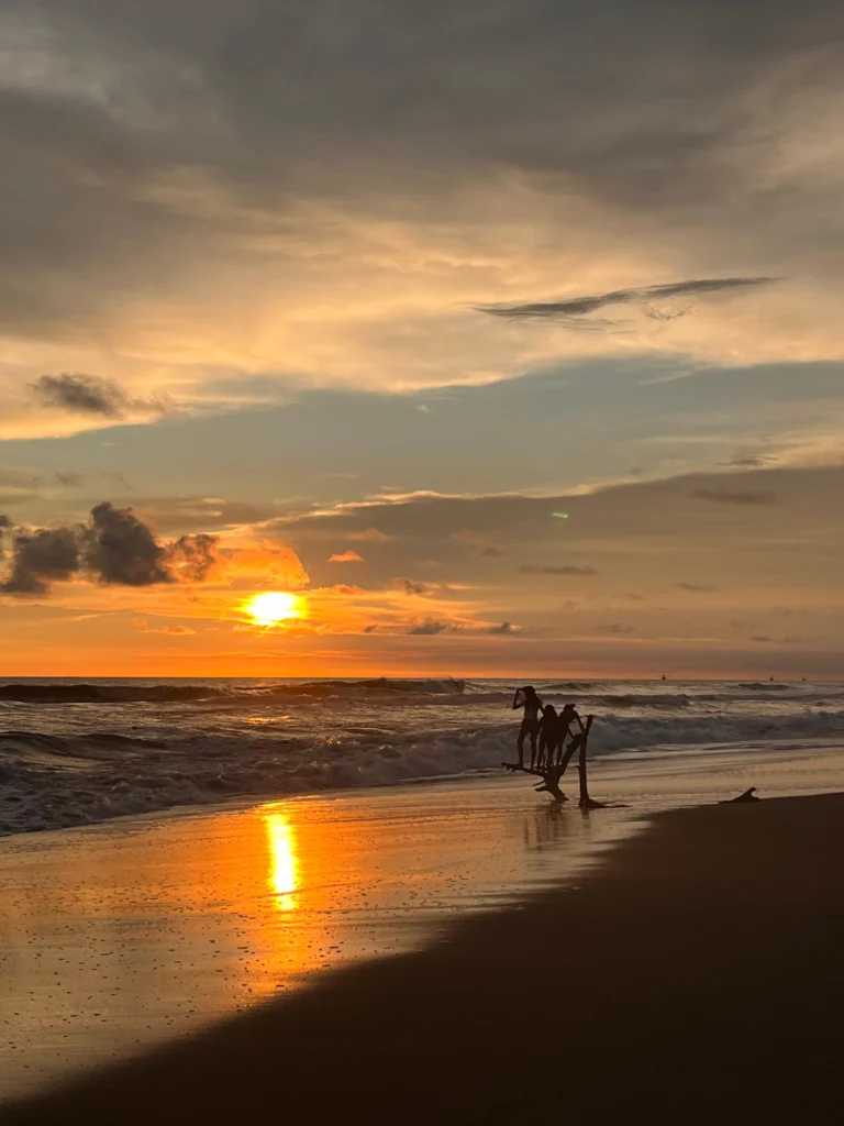 Monterrico