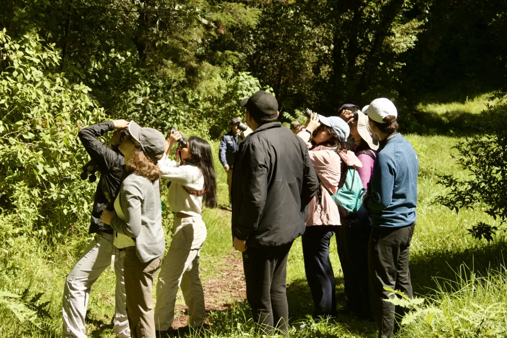 Un groupe observe les oiseaux aux jumelles sur un sentier forestier