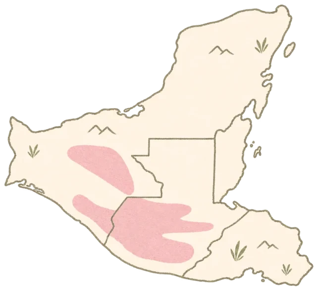 Map of Chiapas and Guatemala with the range of the Pink-headed Warbler marked in pink