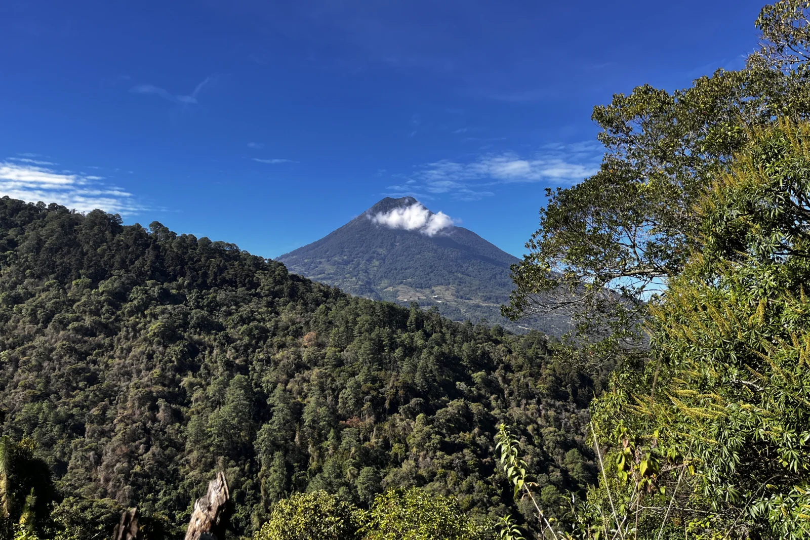 Birdwatching near Antigua Guatemala: day trips, entry fees and transport
