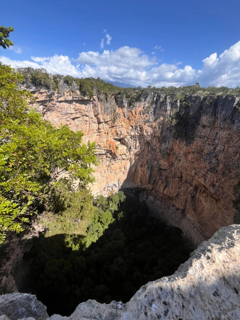 Looking down into Hoyo Cimarrón: vertical limestone walls and the dense forest on its floor